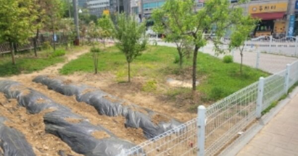 충청남도 아산시 배방읍 공수리 OOOOOO 전 경매 물건 이미지