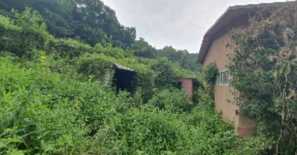 경남 함안군 칠원읍 운곡리 OO O OOO 동물 및 식물 관련시설 경매 물건 이미지