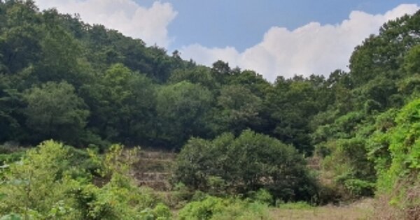 경상남도 창원시 마산합포구 진동면 동전리 OOO 답 경매 물건 이미지