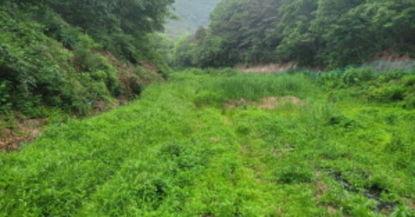 울산광역시 울주군 두서면 활천리 O O OOO 답 경매 물건 이미지