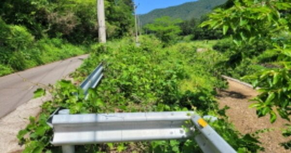 울산광역시 울주군 범서읍 망성리 OOO 답 경매 물건 이미지