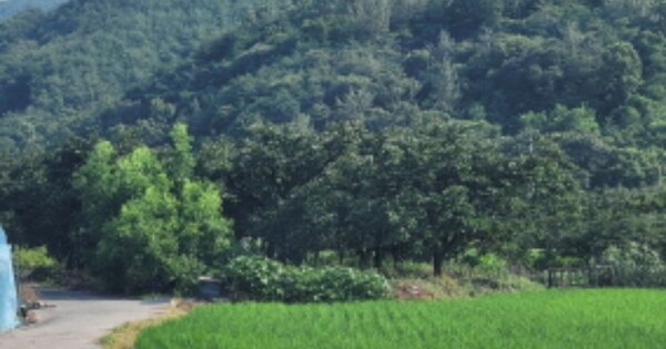 경상북도 청도군 각남면 사리 OOO 전 경매 물건 이미지