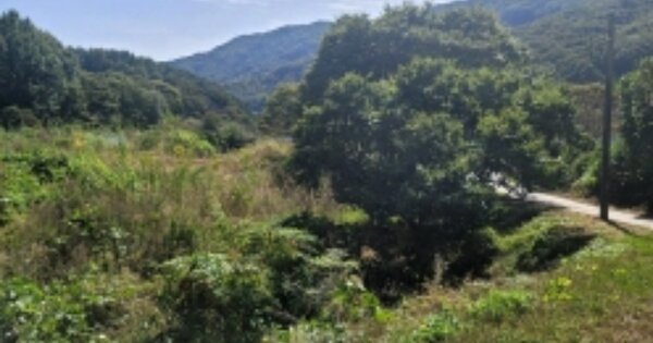 충남 천안시 동남구 목천읍 송전리 OOO 단독주택 경매 물건 이미지