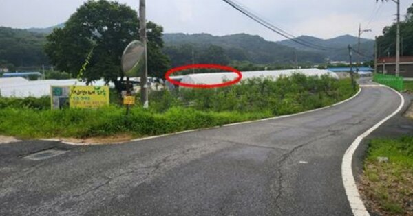 대전광역시 유성구 세동 OOOOO 전 경매 물건 이미지