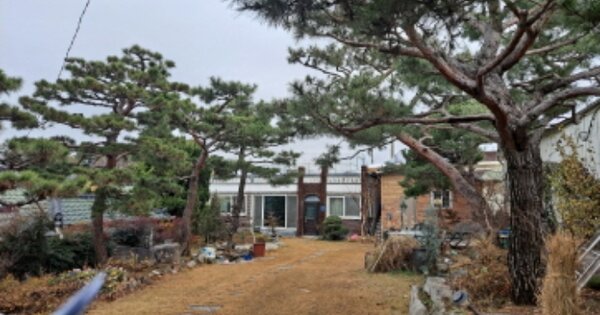 충청남도 아산시 영인면 신봉리 OOOOOO 대지 경매 물건 이미지