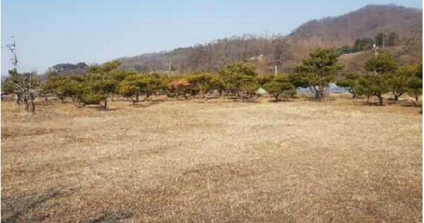 강원도 원주시 지정면 신평리 OOOOO O OOO 답 경매 물건 이미지