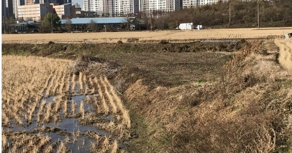 경기도 평택시 칠원동 OOO 답 경매 물건 이미지