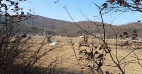 인천광역시 강화군 삼산면 석포리 OOOOO 답 경매 물건 이미지