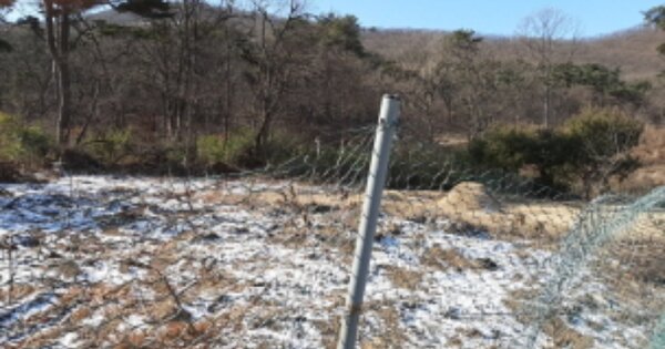 인천광역시 강화군 삼산면 석포리 OOOOO 전 경매 물건 이미지