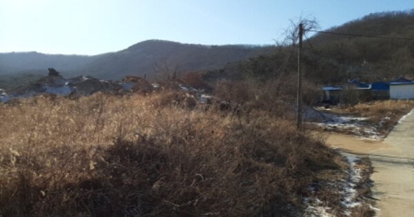 인천광역시 강화군 삼산면 석포리 OOOOOO 임야 경매 물건 이미지
