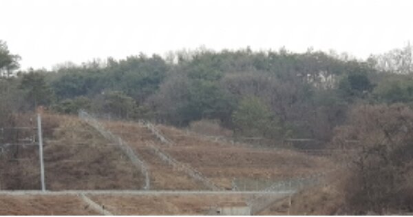 경상북도 안동시 서후면 이송천리 OOOOO O OOO 전 경매 물건 이미지