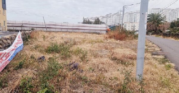 제주특별자치도 서귀포시 강정동 OOO O OOO 전 경매 물건 이미지