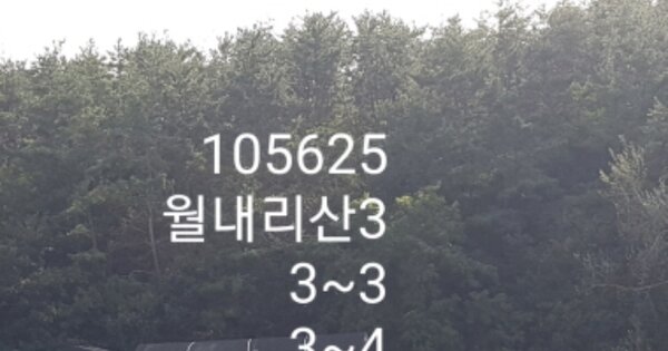 부산광역시 기장군 장안읍 월내리 OO O OOO 임야 경매 물건 이미지
