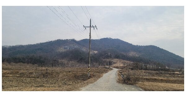 경상북도 상주시 외남면 구서리 OOO O OOO 임야 경매 물건 이미지