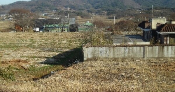 충청남도 당진시 정미면 우산리 OOOOO 전 경매 물건 이미지