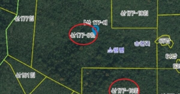 충청남도 태안군 소원면 송현리 OOOOOO O OOO 임야 경매 물건 이미지