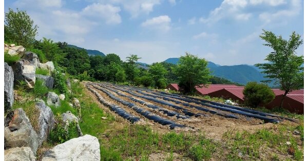 충청남도 금산군 군북면 산안리 OOOOO O OOO 전 경매 물건 이미지