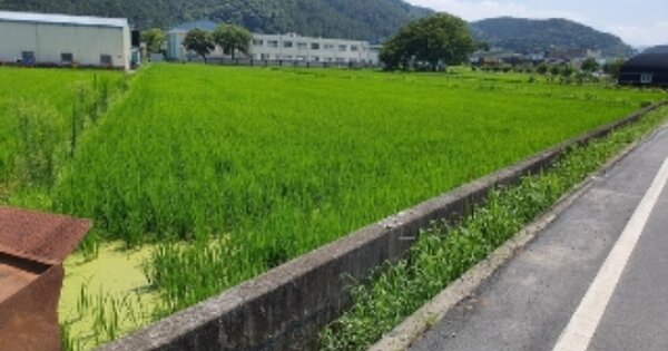경상남도 창원시 마산합포구 진북면 지산리 OOOO 답 경매 물건 이미지