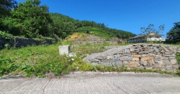 경상남도 창원시 마산합포구 진북면 신촌리 OOO 임야 경매 물건 이미지