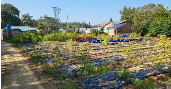 충청남도 당진시 고대면 슬항리 OOOOOO 전 경매 물건 이미지