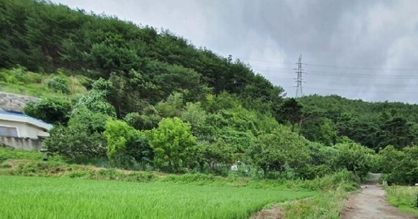 울산광역시 울주군 웅촌면 석천리 OOOOO 과수원 경매 물건 이미지