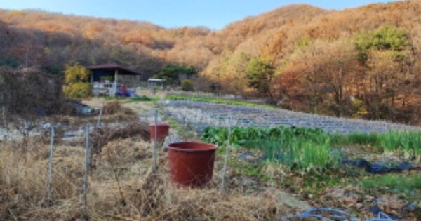 경기도 광명시 소하동 OOOOO 전 경매 물건 이미지