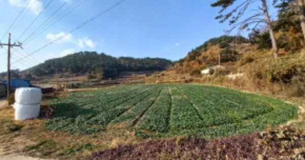 경상남도 남해군 남면 평산리 OOOOOO O OOO 답 경매 물건 이미지