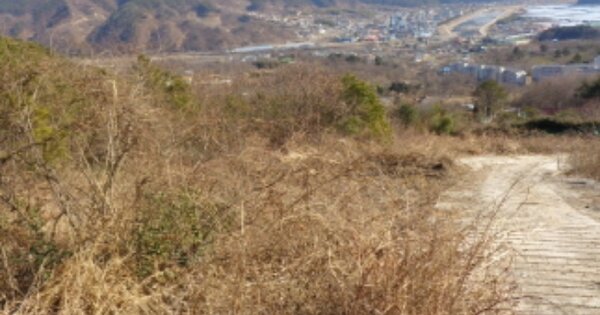 경상남도 산청군 시천면 원리 OOOOO O OOO 임야 경매 물건 이미지
