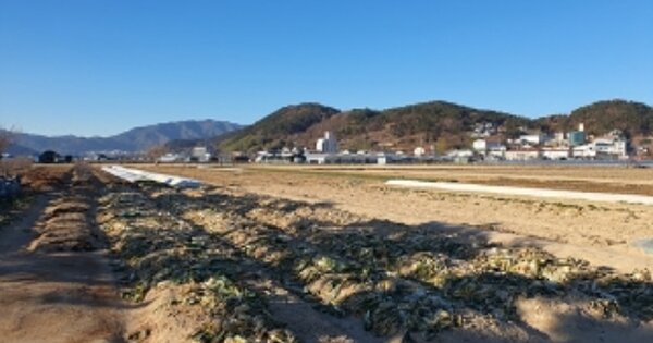 경상남도 김해시 화목동 OOOOOO 전 경매 물건 이미지