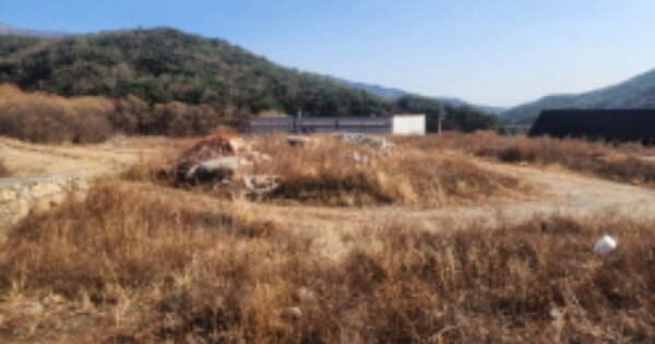 울산광역시 울주군 상북면 덕현리 OOO 임야 경매 물건 이미지