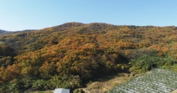 경상북도 김천시 남면 봉천리 OOOO 답 경매 물건 이미지