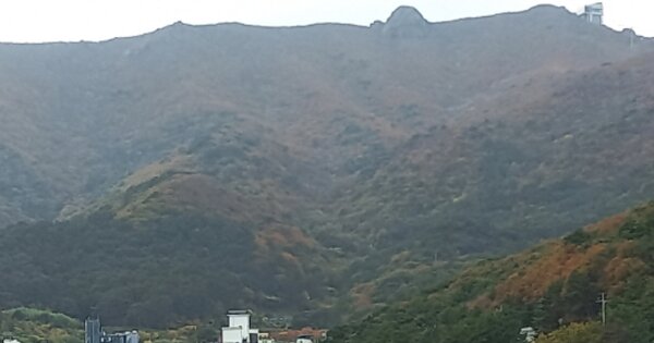 경상남도 거제시 동부면 학동리 OOOOOO O OOO 임야 경매 물건 이미지