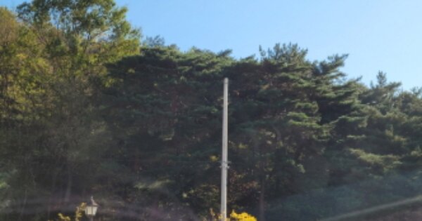 경상북도 포항시 북구 창포동 OOOOOO 임야 경매 물건 이미지