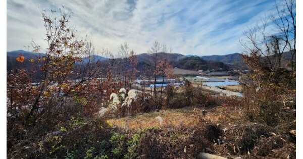 경상북도 성주군 대가면 흥산리 OOOOO 전 경매 물건 이미지