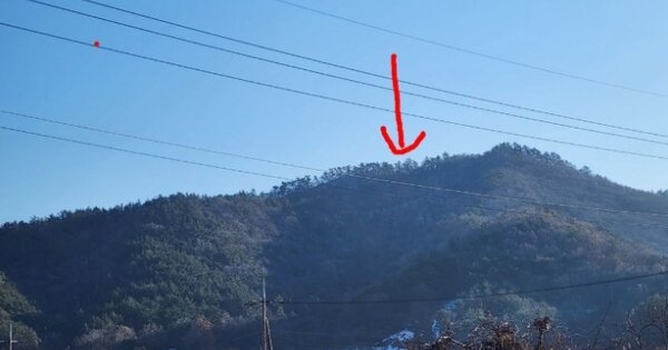 전라남도 무안군 청계면 청천리 OOOO 임야 경매 물건 이미지