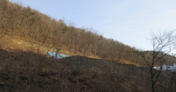 충청북도 보은군 내북면 적음리 OOO 임야 경매 물건 이미지