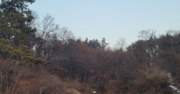 충청북도 증평군 증평읍 미암리 OO 전 경매 물건 이미지