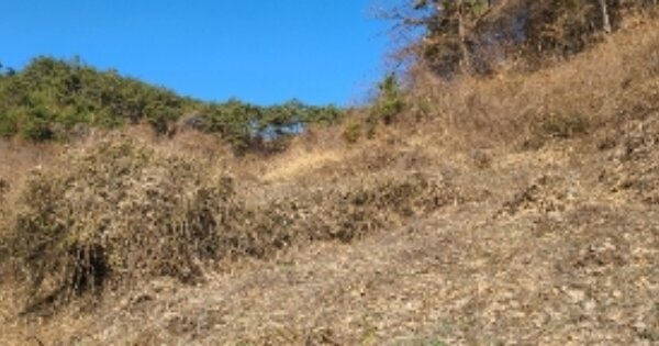 전라남도 곡성군 죽곡면 유봉리 OOO 전 경매 물건 이미지