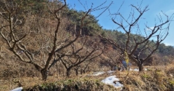 전라남도 곡성군 죽곡면 유봉리 OOO 답 경매 물건 이미지
