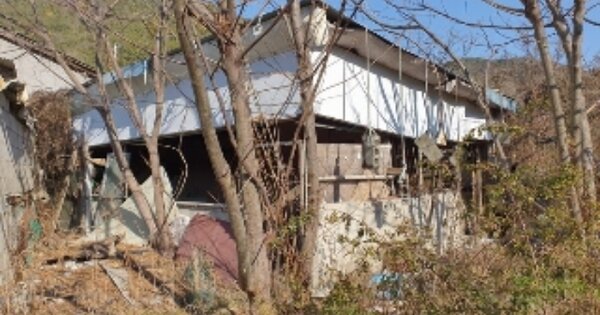 경상남도 창원시 마산합포구 진동면 교동리 OO O OOO 단독주택 경매 물건 이미지