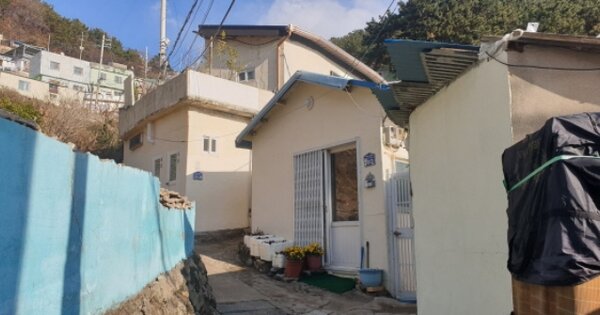부산광역시 사하구 신평동 OOOOO 임야 경매 물건 이미지