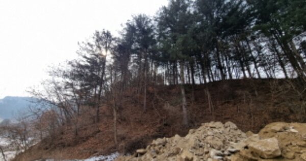 경기도 가평군 설악면 엄소리 OOOO O OOO 임야 경매 물건 이미지