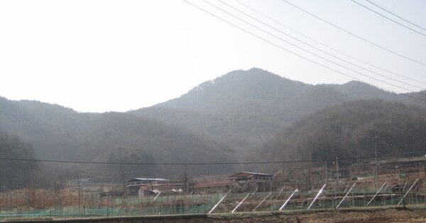 경상북도 문경시 농암면 사현리 OOOO 임야 경매 물건 이미지