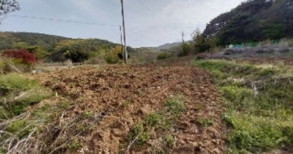 충청남도 청양군 화성면 화암리 OOO 답 경매 물건 이미지