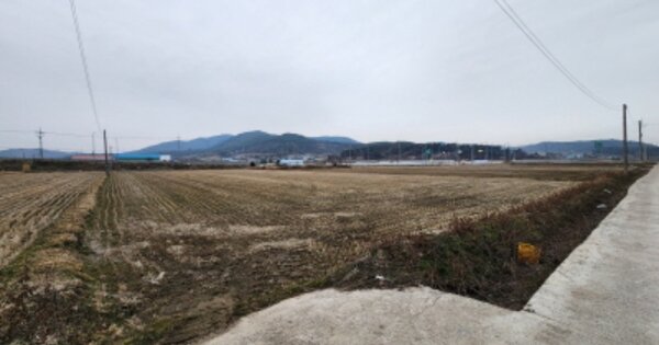 전라북도 고창군 해리면 고성리 OOO 답 경매 물건 이미지