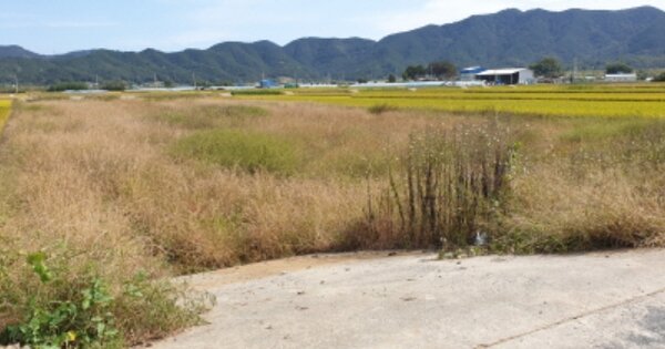 경상남도 합천군 적중면 부수리 OOOOOO 답 경매 물건 이미지