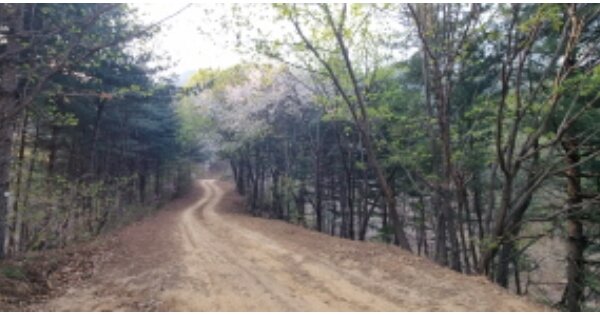 경기도 남양주시 화도읍 금남리 OOOOOOO 임야 경매 물건 이미지