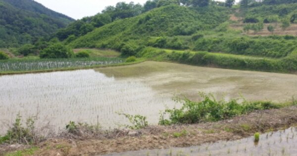 경상남도 함양군 병곡면 광평리 OOOO 답 경매 물건 이미지