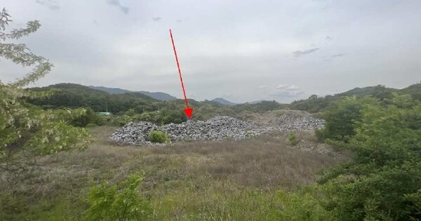충청북도 단양군 어상천면 대전리 OOO O OOO 전 경매 물건 이미지