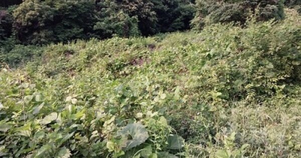 충청남도 공주시 신풍면 화흥리 OOO 전 경매 물건 이미지